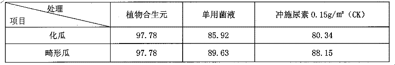 Microbial fertilizer-plant synbiotic composition preparation and method for preparing symbiotic preparation