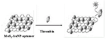 Molybdenum disulfide based sensor as well as preparation method and application thereof