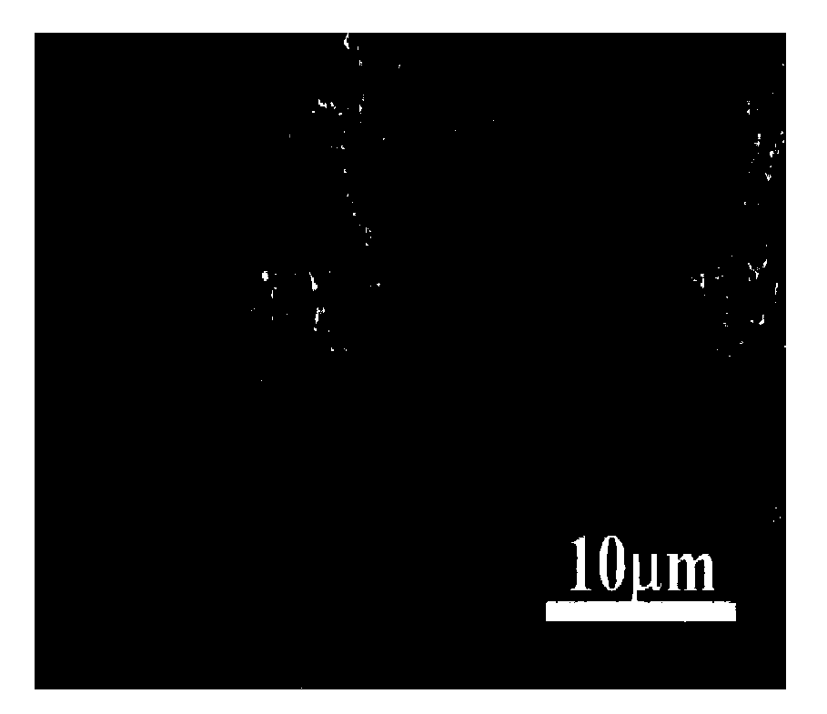 Method for preparing one-dimensional hollow superstructure photocatalytic material of Bi system composite oxide