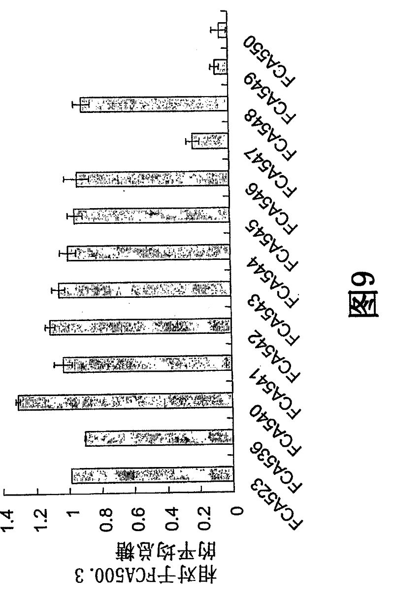 Variant hypocrea jecorina cbh2 cellulases