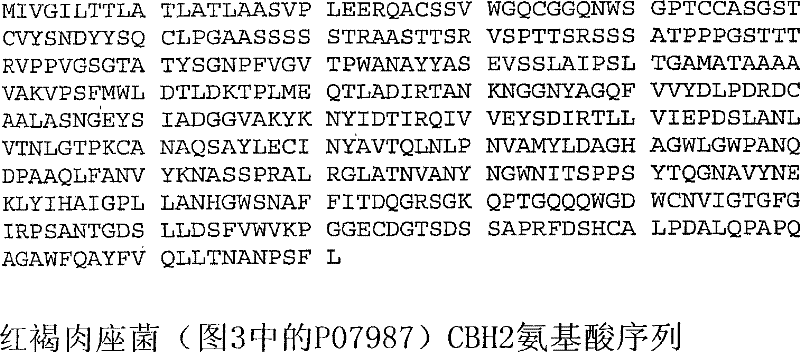 Variant hypocrea jecorina cbh2 cellulases