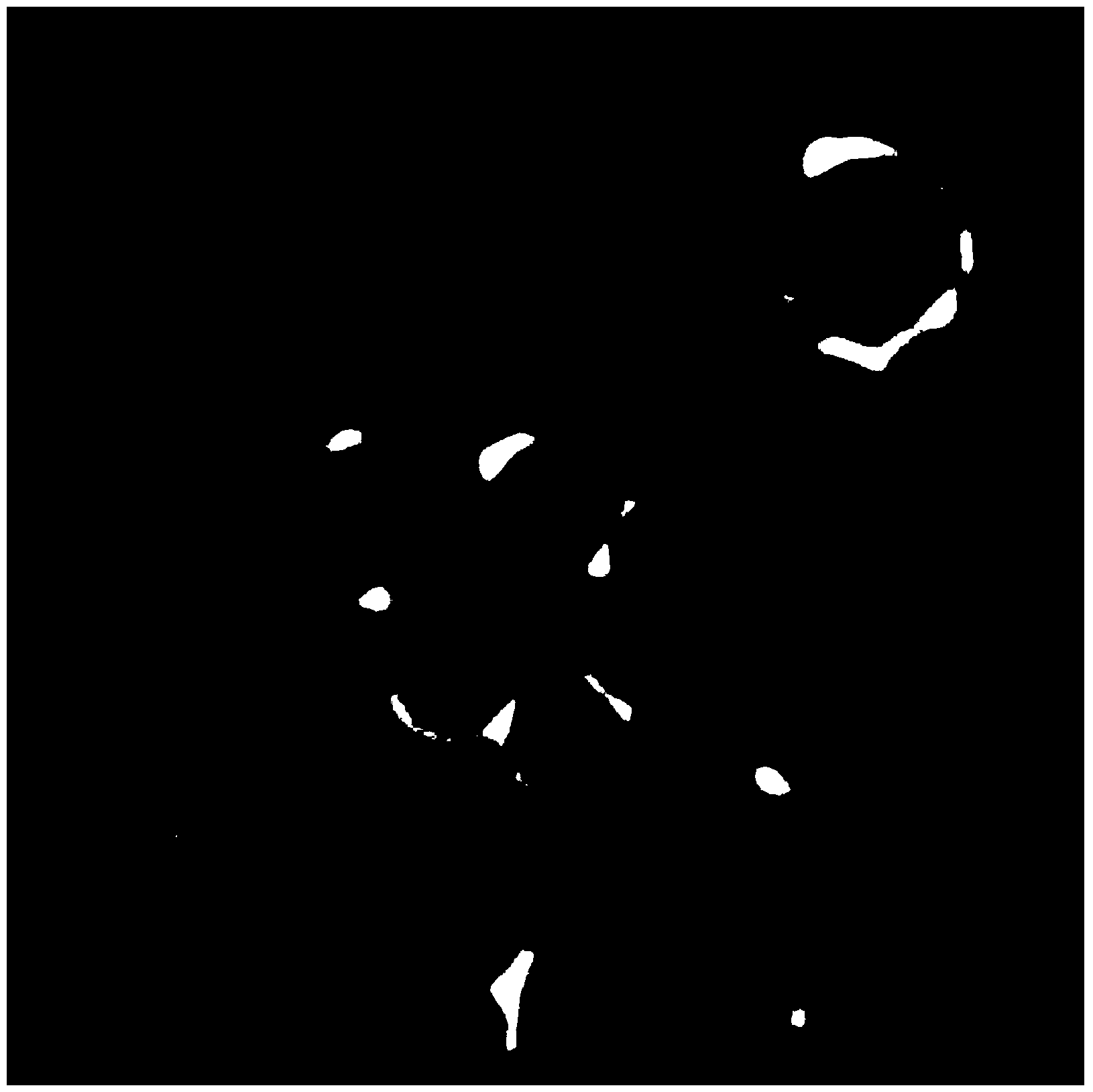 DEM-based automatic identification and boundary extraction method of moon surface impact crater