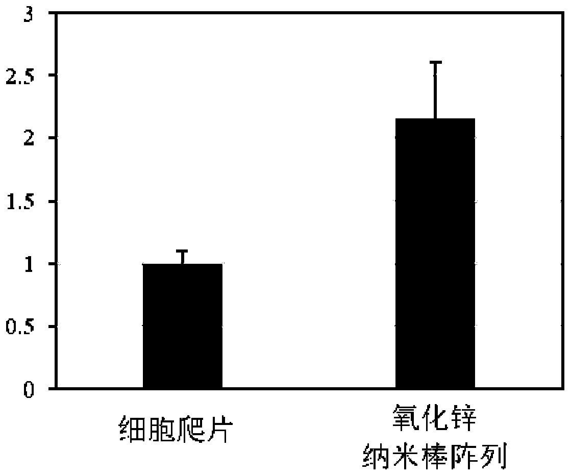 Zinc oxide nanorod array cell culture substrate, and preparation method and application thereof