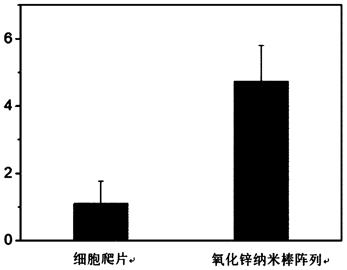 Zinc oxide nanorod array cell culture substrate, and preparation method and application thereof