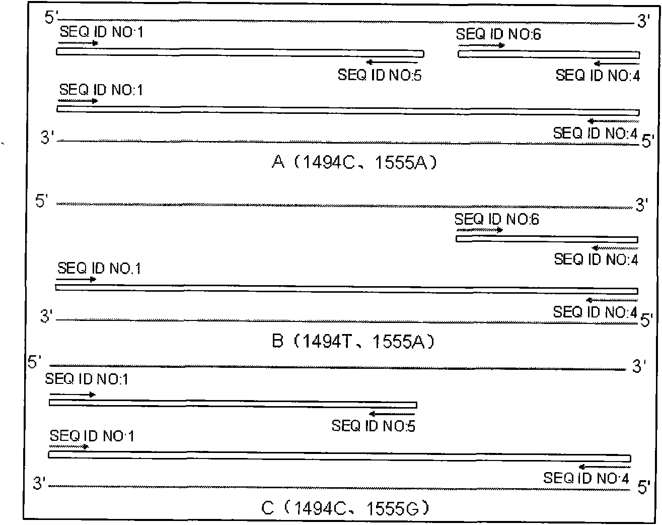 Method for detecting 1494 C-T and 1555 A-G mutation of maternally inherited deafness mitochondrial genes, and kit thereof