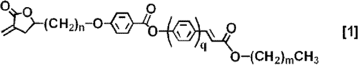 Polymerizable liquid crystal compound, polymerizable liquid crystal composition, and oriented film