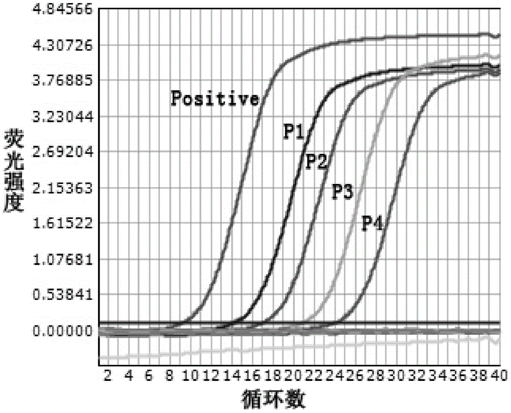 PCR (Polymerase Chain Reaction) primers for detecting mycoplasma pneumoniae (MP) and application thereof