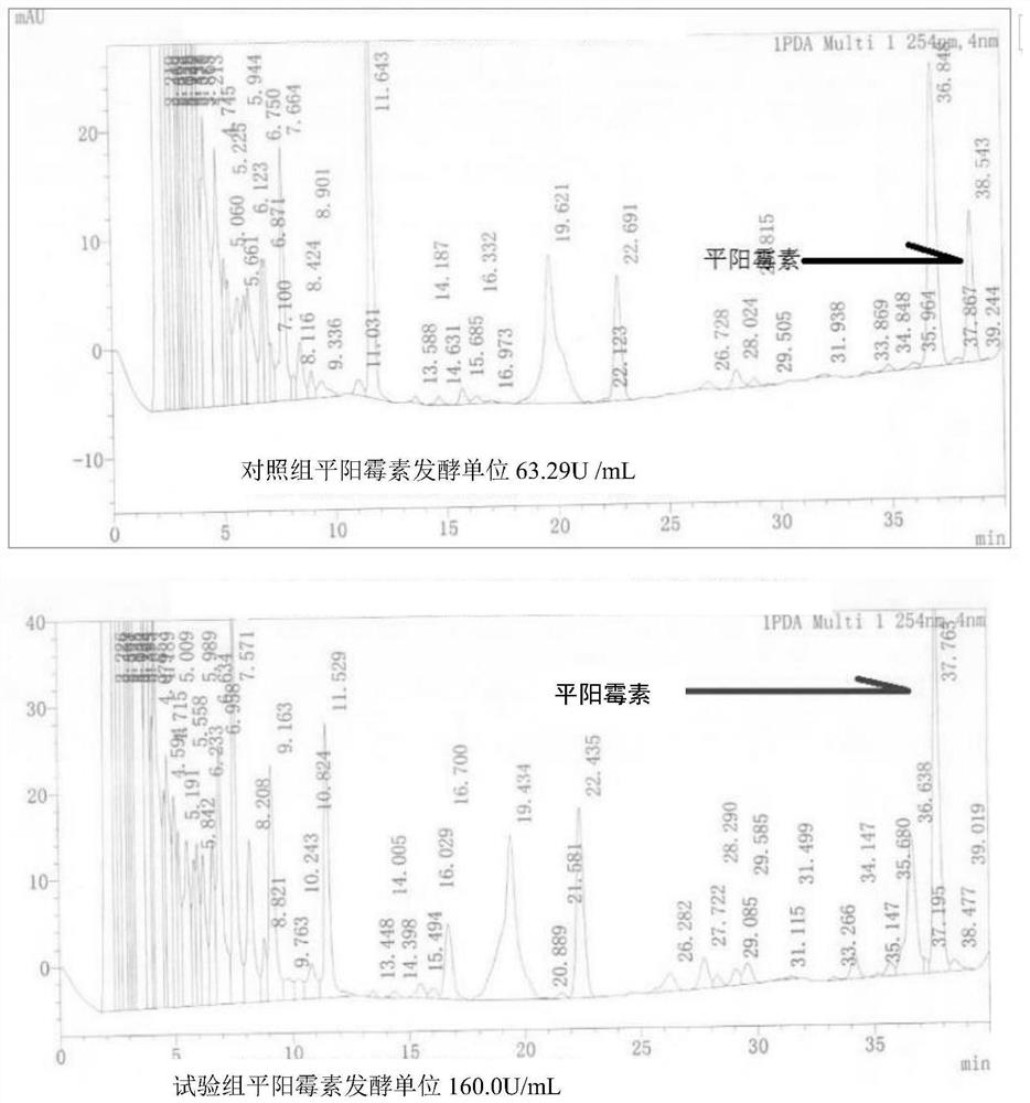 A method for fermenting and producing Pingyangmycin