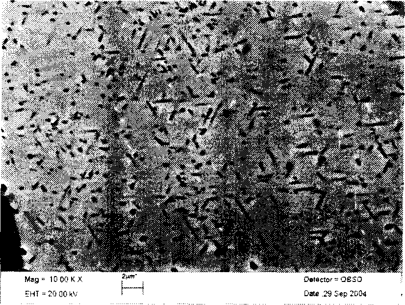 Method for observing microscopic structure of stainless steel