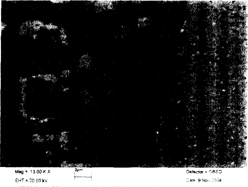 Method for observing microscopic structure of stainless steel