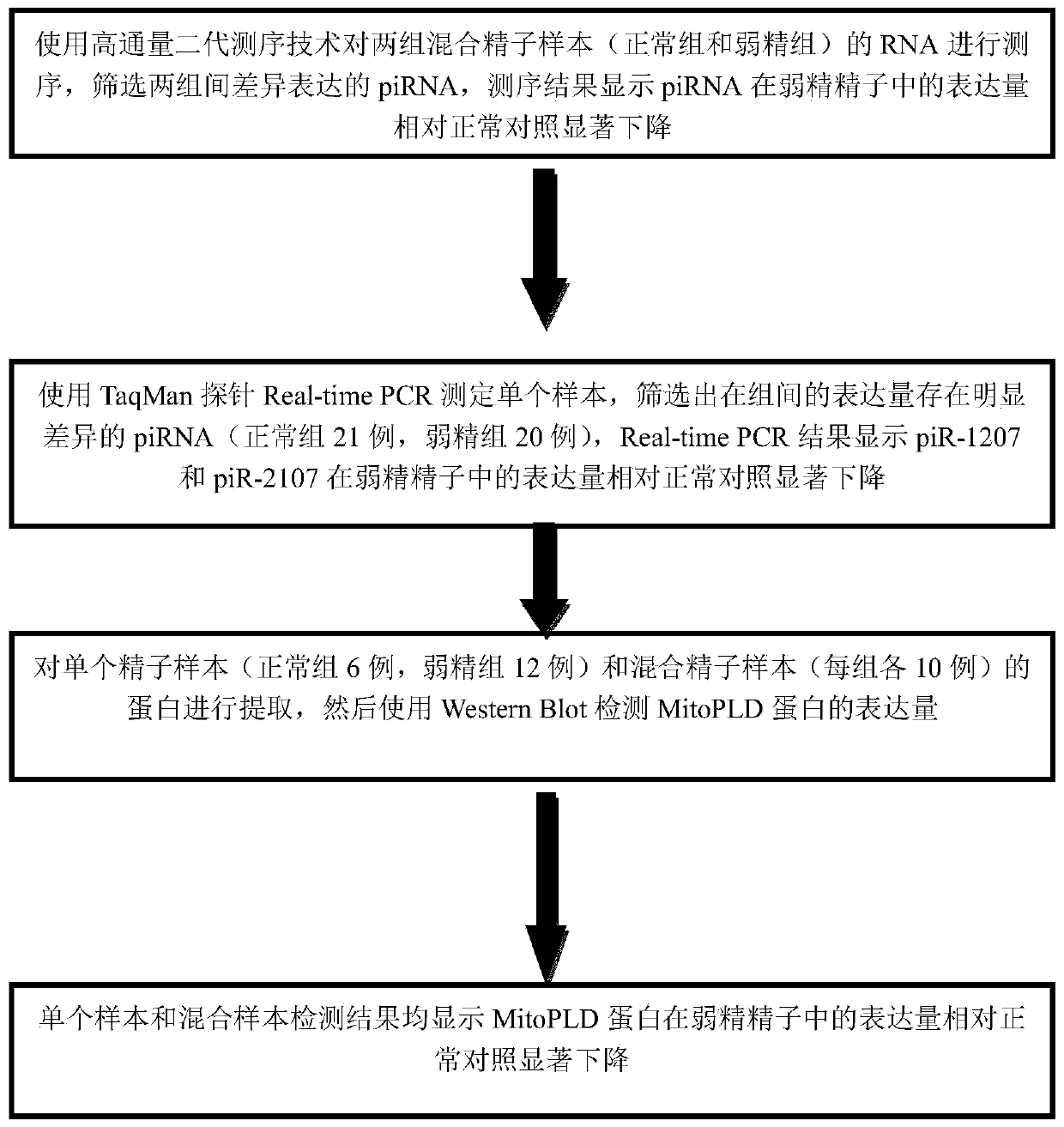 Sperm pirna and sperm protein mitopld as biomarkers for detection and prediction of male infertility