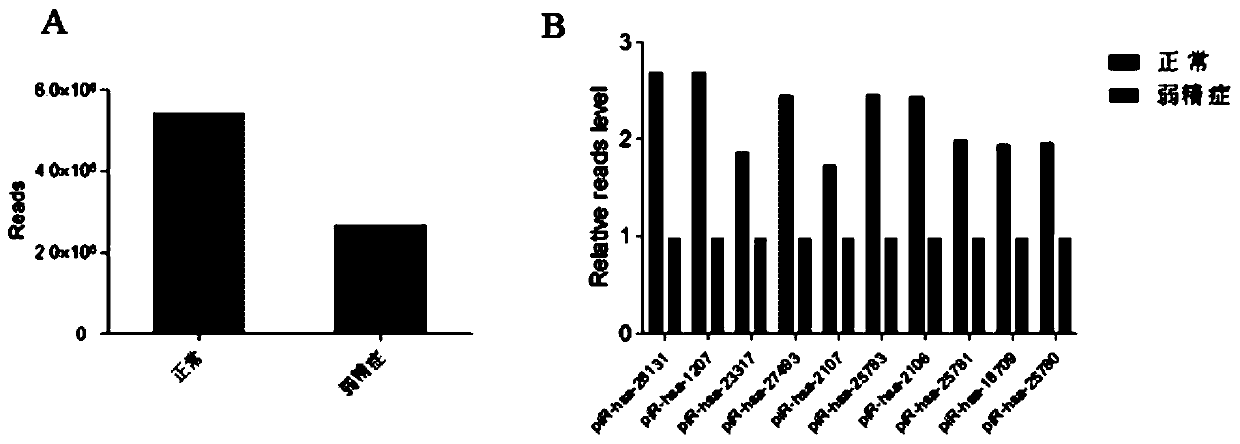 Sperm pirna and sperm protein mitopld as biomarkers for detection and prediction of male infertility