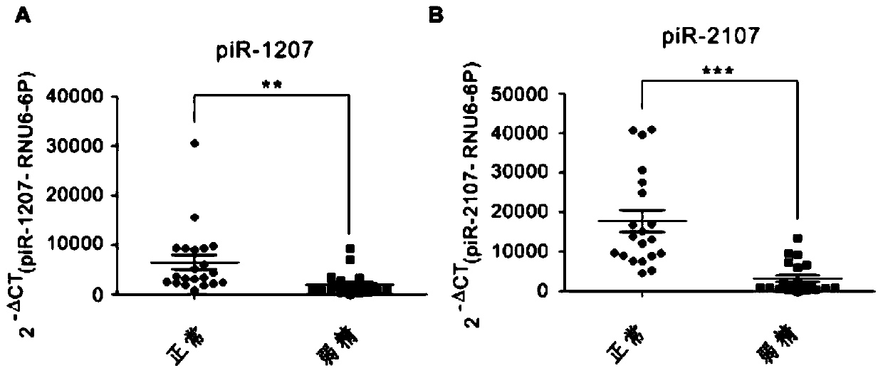 Sperm pirna and sperm protein mitopld as biomarkers for detection and prediction of male infertility