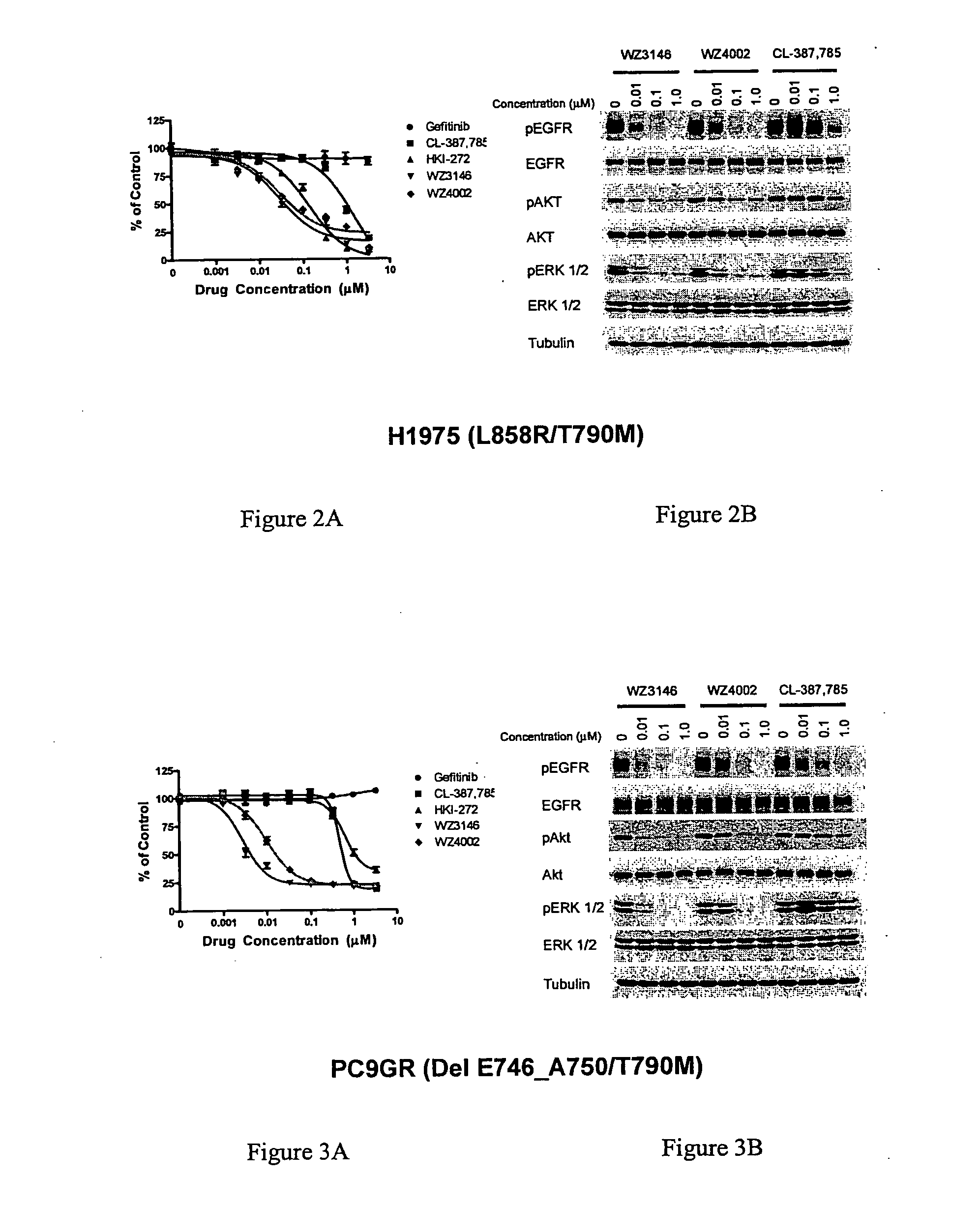 EGFR inhibitors and methods of treating disorders