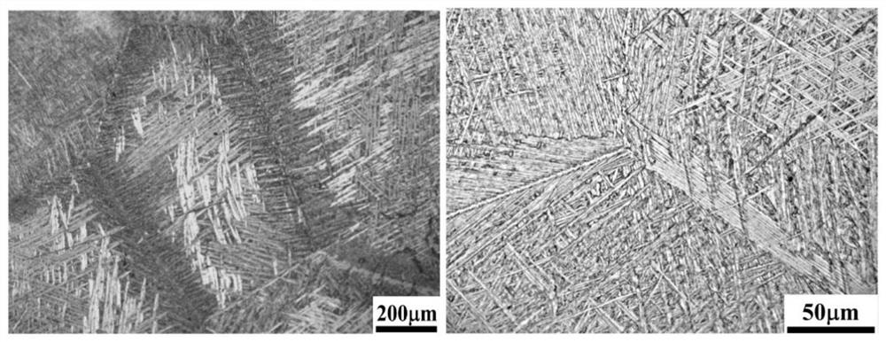 Nanoparticle reinforced ZTC4 titanium alloy and preparation method thereof