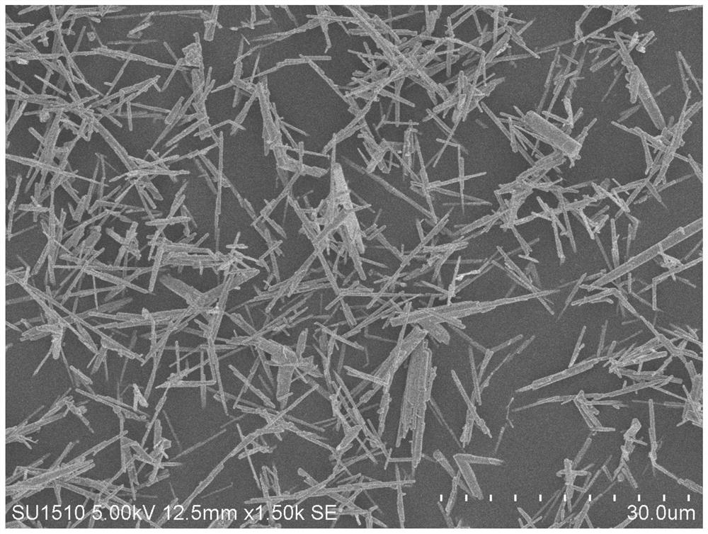 Preparation method of coated conductive whisker/composite antistatic coating