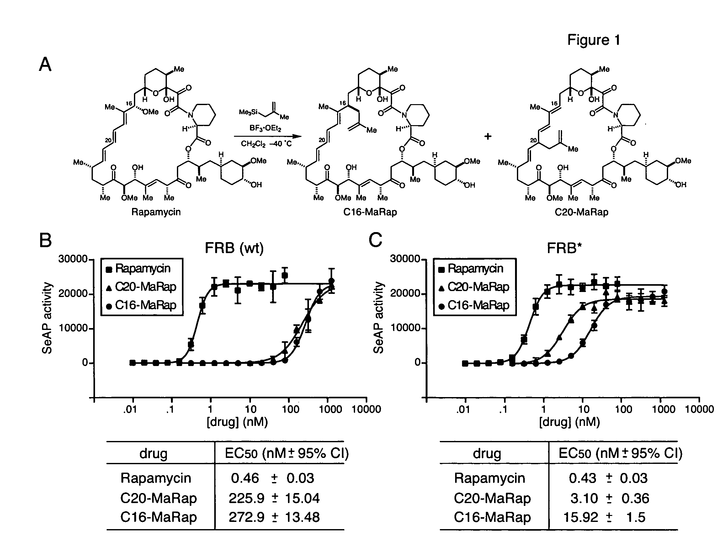 Conditional allele system