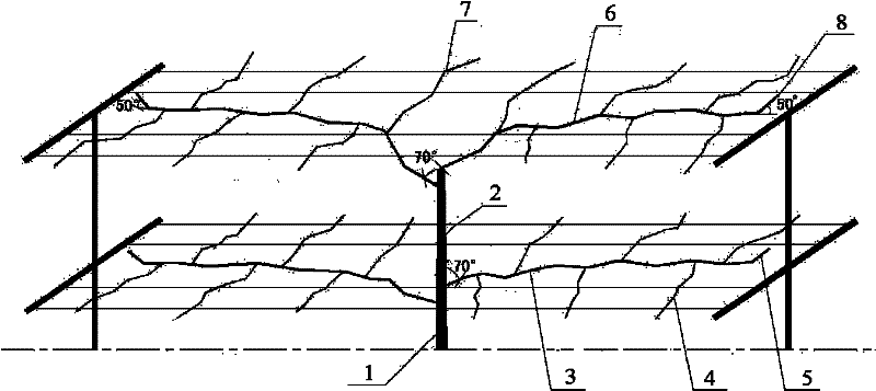 Shaping and trimming method of crowns of pear trees