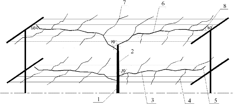 Shaping and trimming method of crowns of pear trees