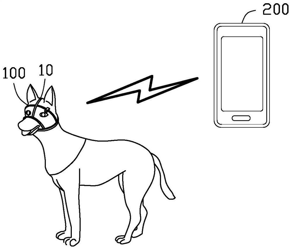 Animal hearing aid device and animal hearing aid system