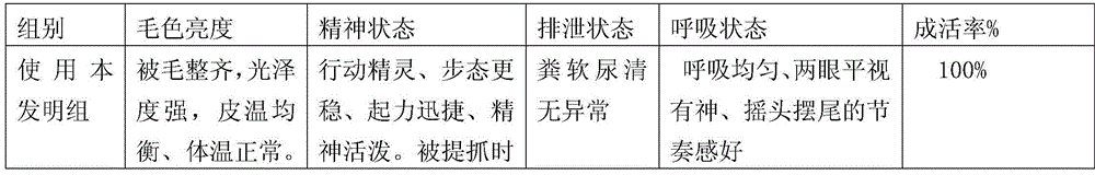 Talcum powder composition for newborn piglet and preparation method thereof