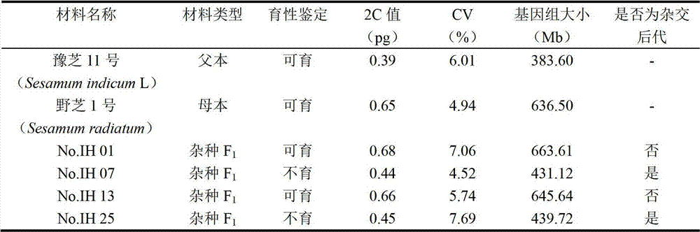 Molecular identification method for distant hybridization progeny of Sesame indicum L. and Sesame radiatum