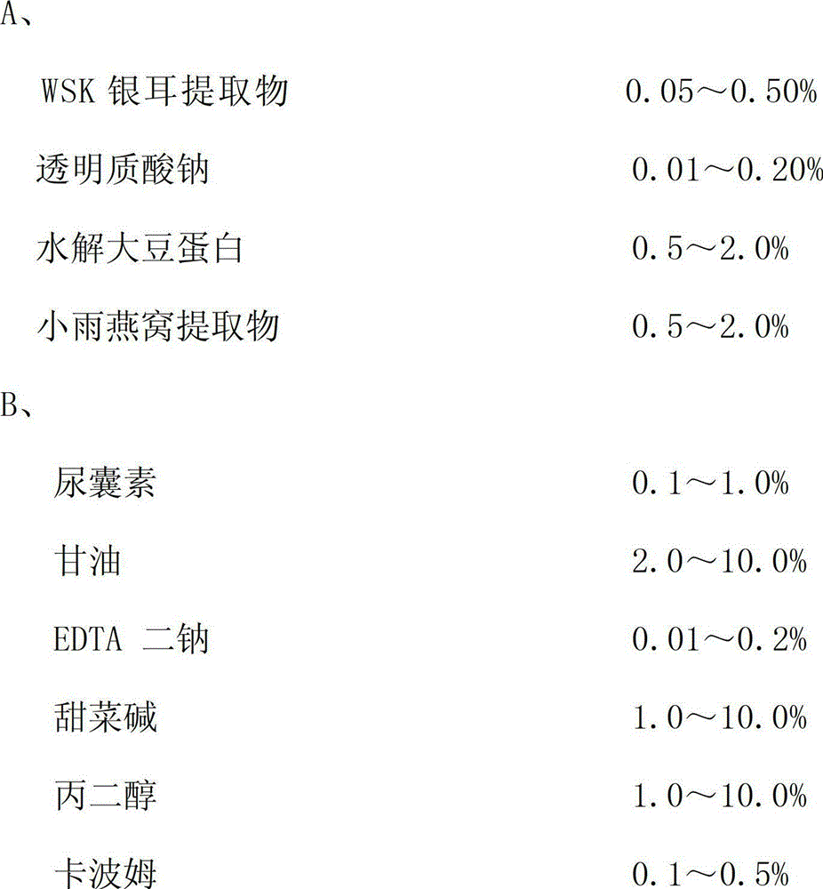 Ultra-elastic water-locking facial mask essence and preparation method thereof