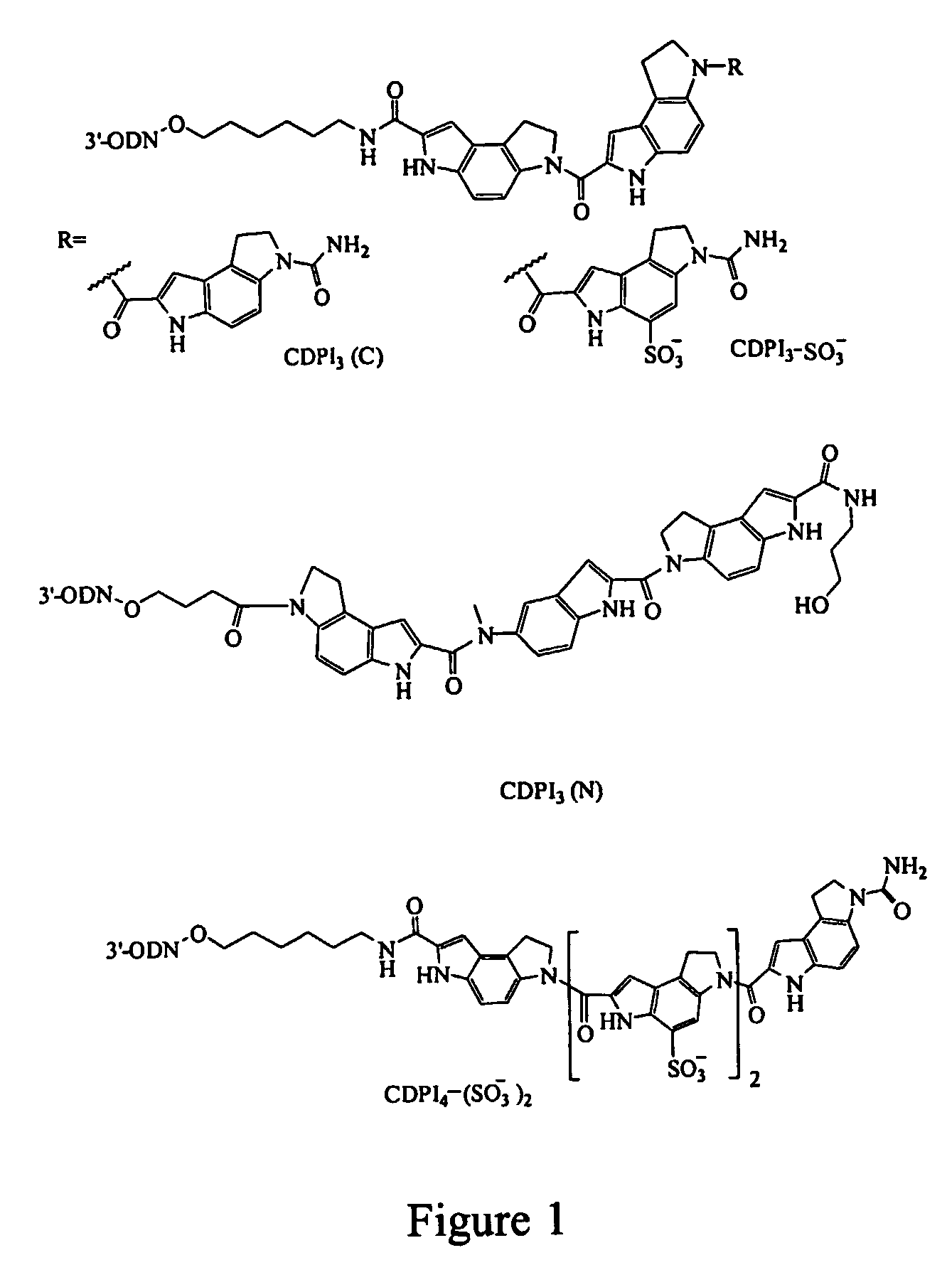 Negatively charged minor groove binders