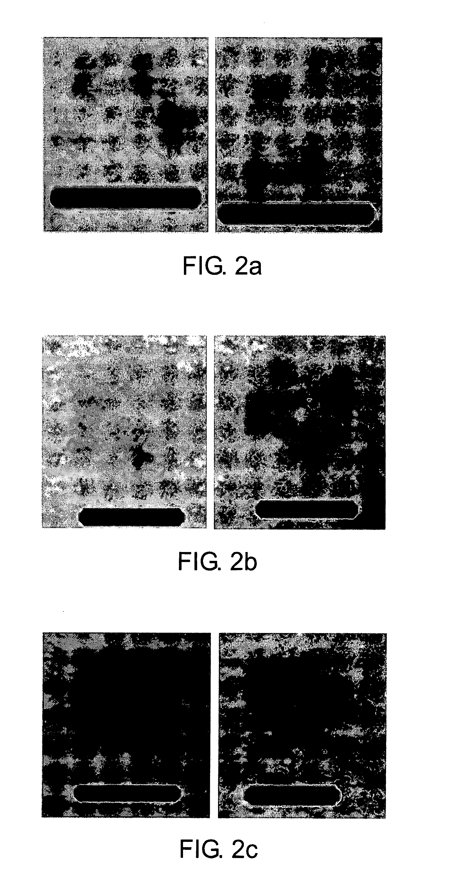 Fabrication of metal nanoshells