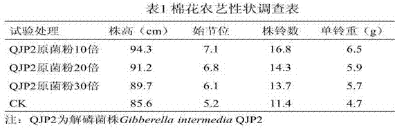 Gibberella intermedia and application thereof