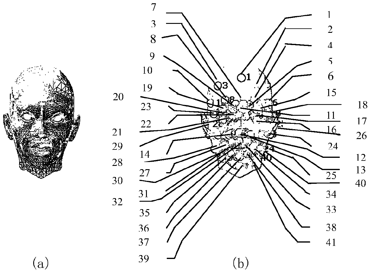 Human face expression cloning method