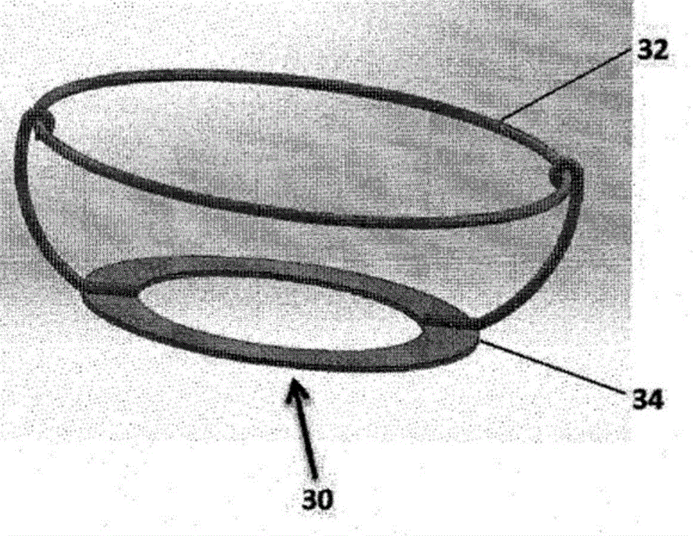 Single ring heart valve support structure