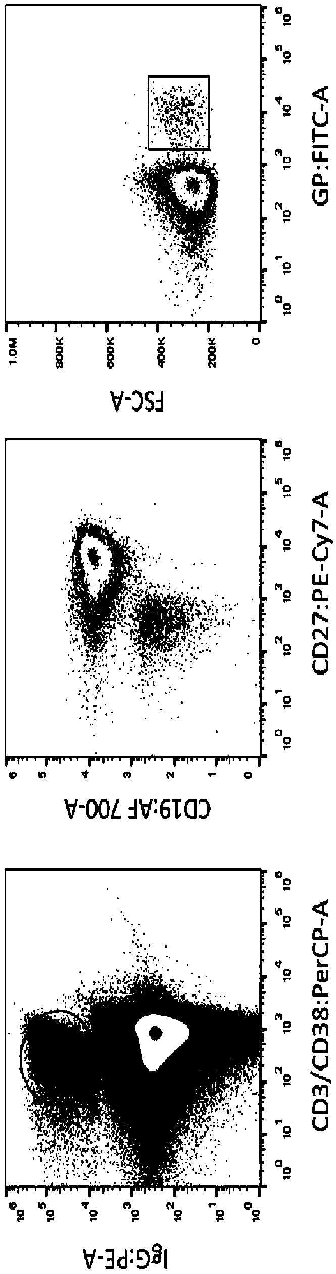 Anti-EBOV monoclonal antibody 5E9 with unique binding site, and application