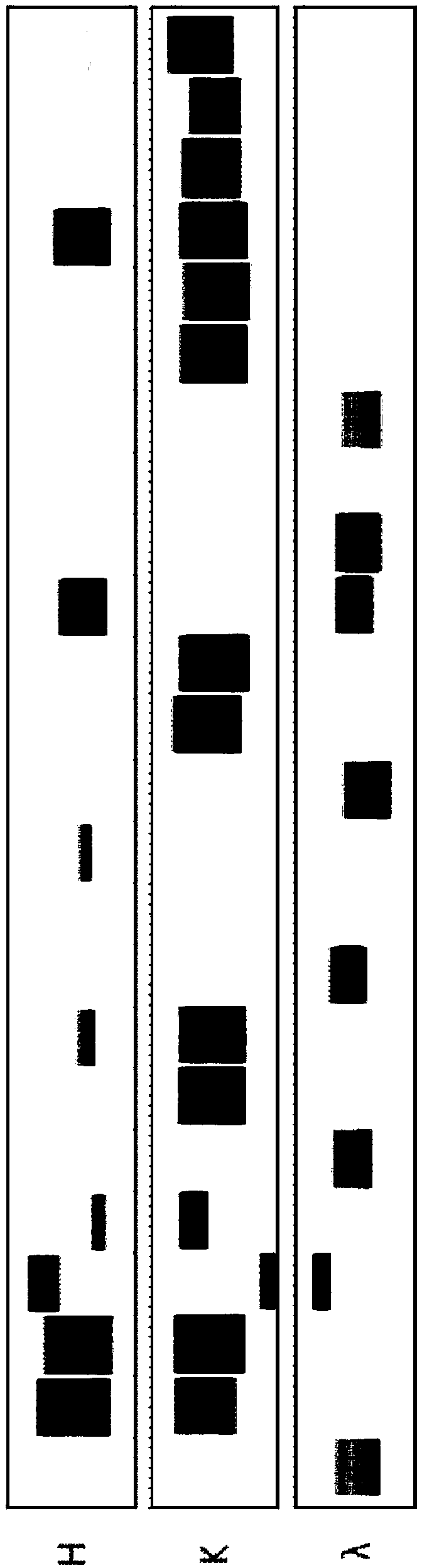 Anti-EBOV monoclonal antibody 5E9 with unique binding site, and application