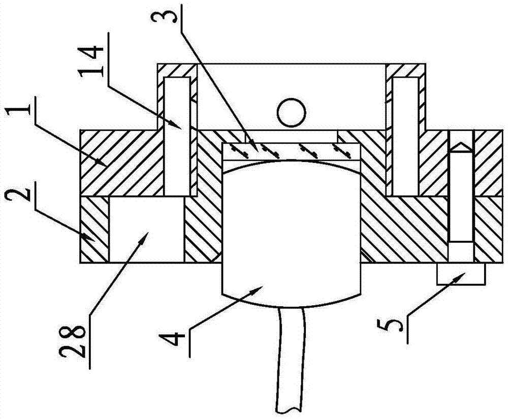 Spark detection device with self-cleaning function