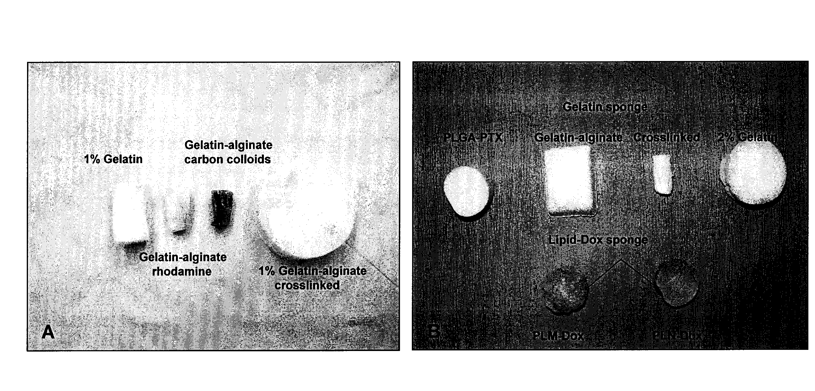 Methods and devices for lymphatic targeting