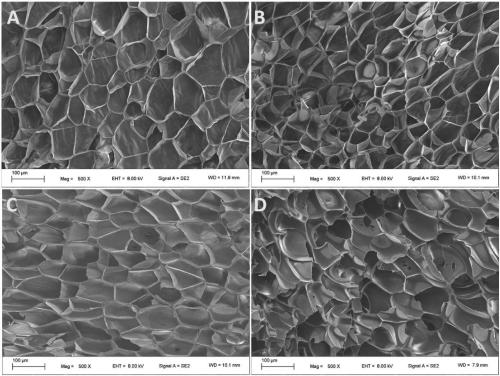 Radiation cross-linked polypropylene foaming material, preparation method and applications thereof