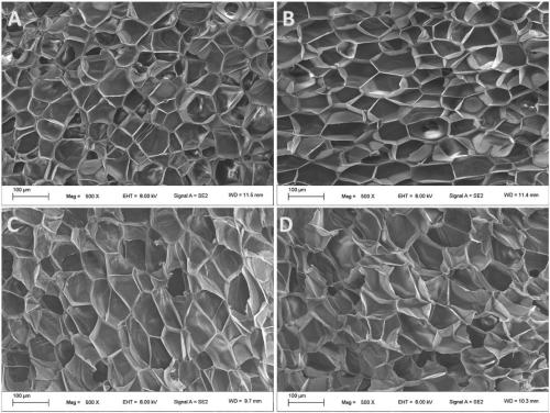 Radiation cross-linked polypropylene foaming material, preparation method and applications thereof