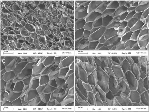 Radiation cross-linked polypropylene foaming material, preparation method and applications thereof