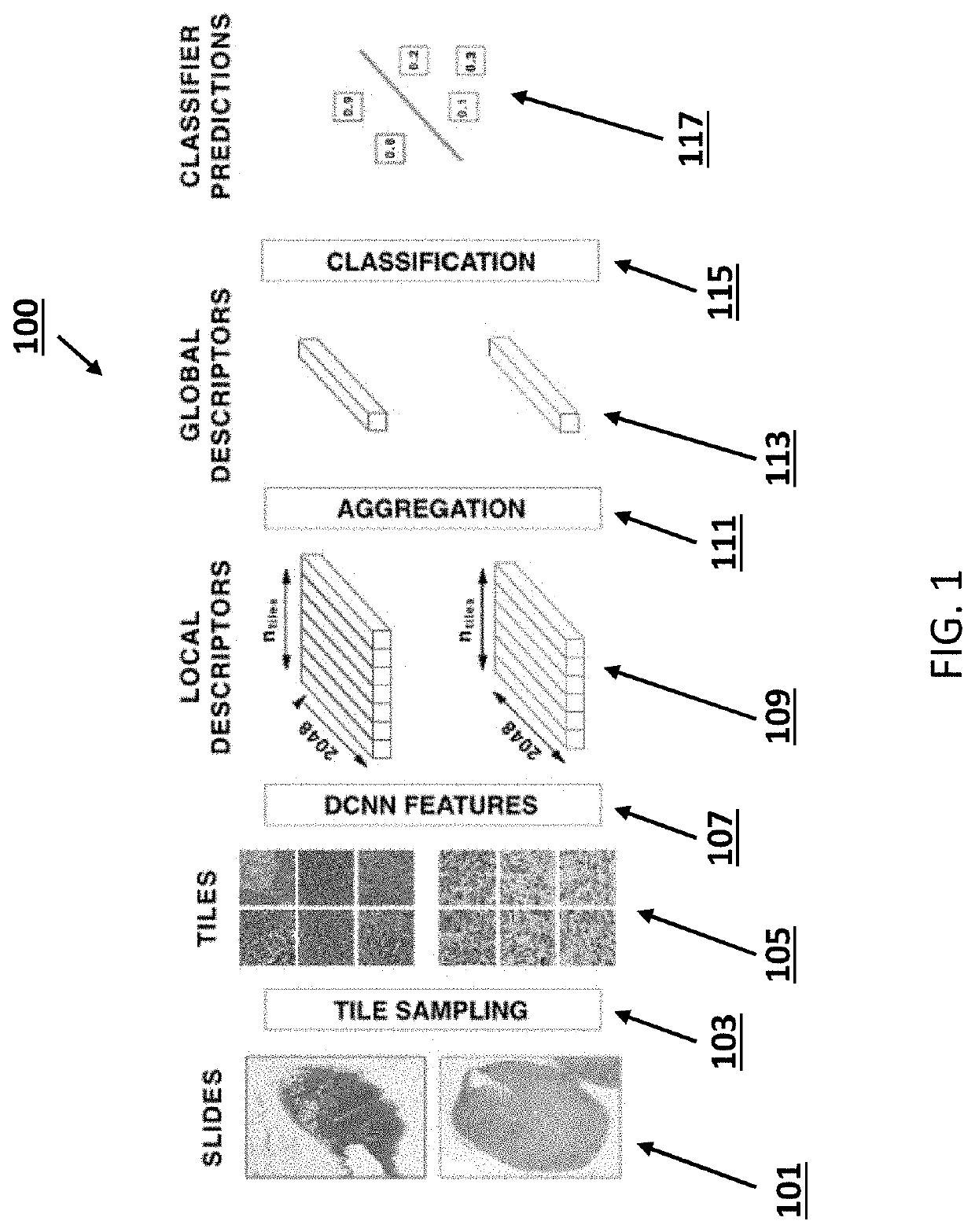 Systems and methods for image classification