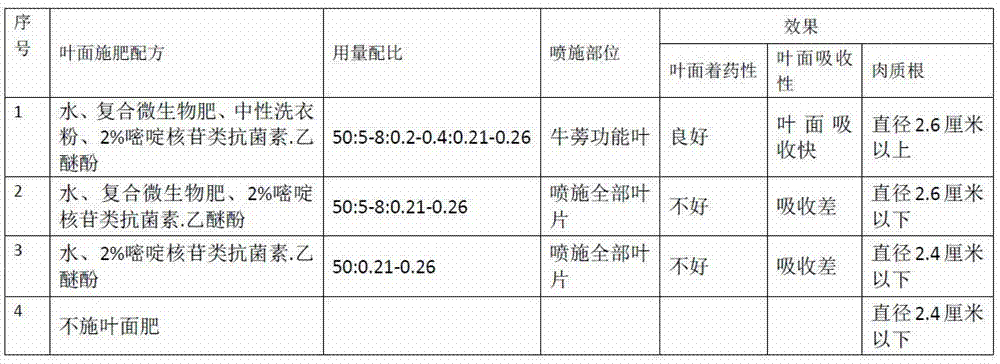 Cultivation method of facility burdock