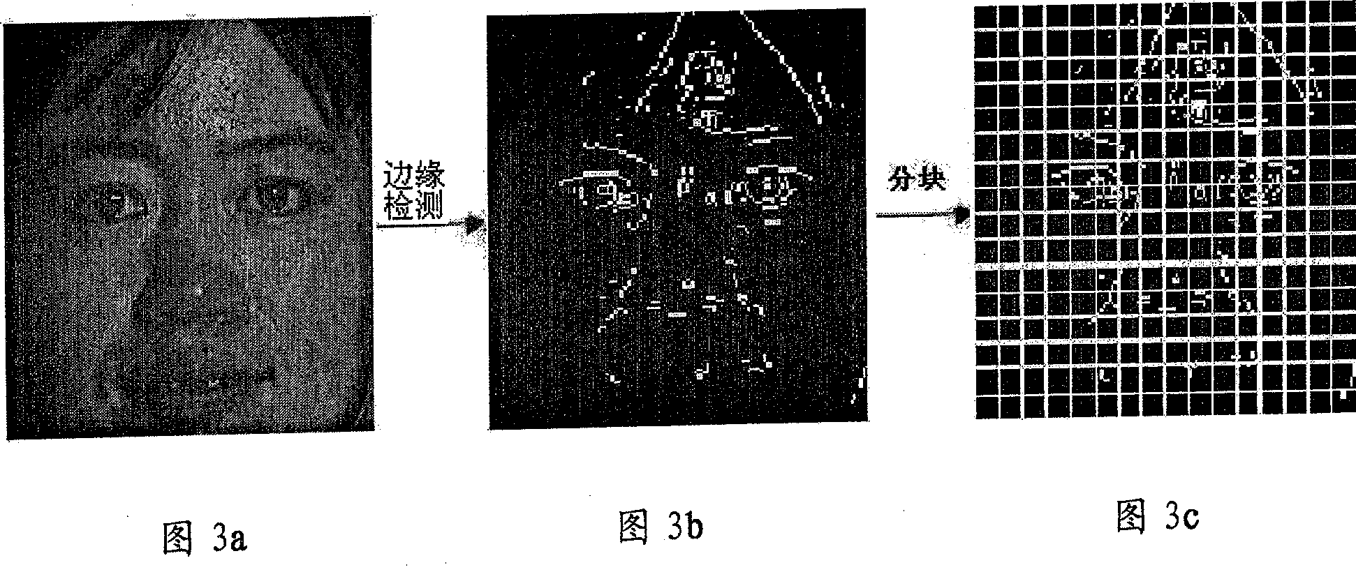 A face feature extraction method with illumination robustness