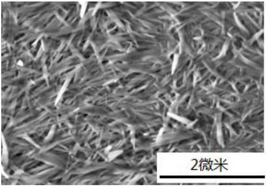 Fibroin/nylon composite material and preparing method thereof