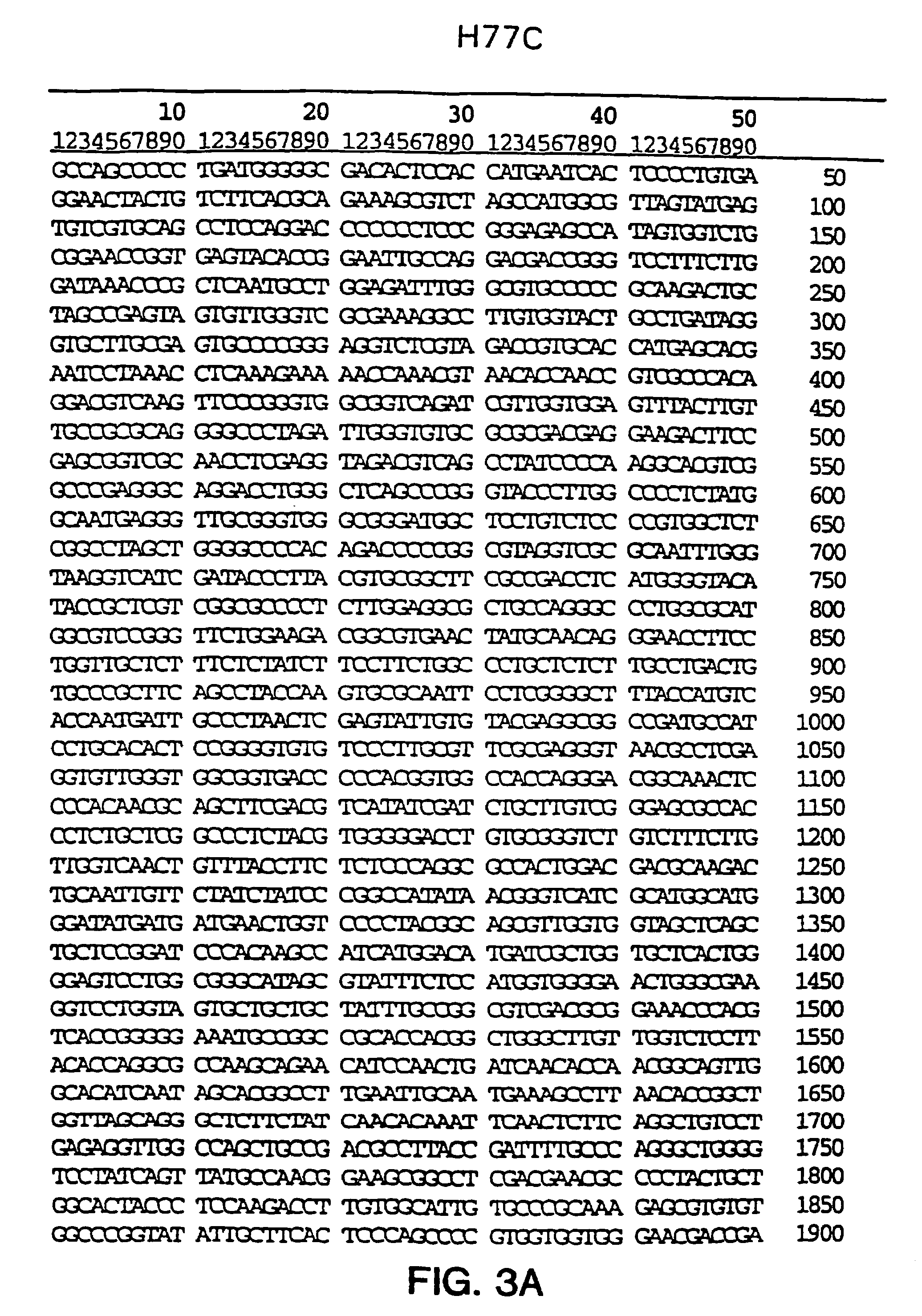 HCV/BVDV chimeric genomes and uses thereof