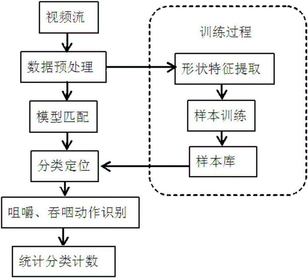 Statistical method of rumination chewing and swallowing times of cow based on machine vision