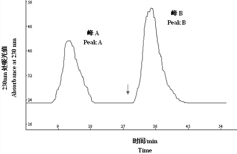 Holstein cow spleen-derived antibacterial peptide as well as preparation method and application thereof