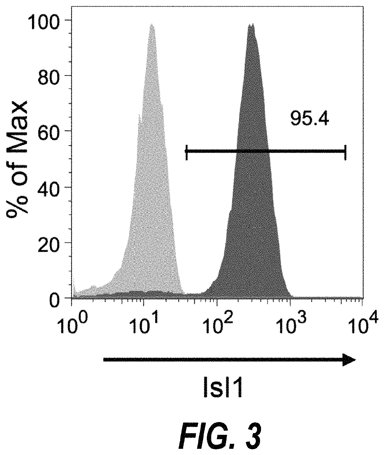 Methods for isolating human cardiac ventricular progenitor cells