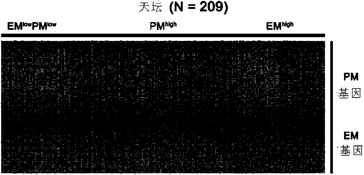 Glioma molecule typed gene group and application thereof