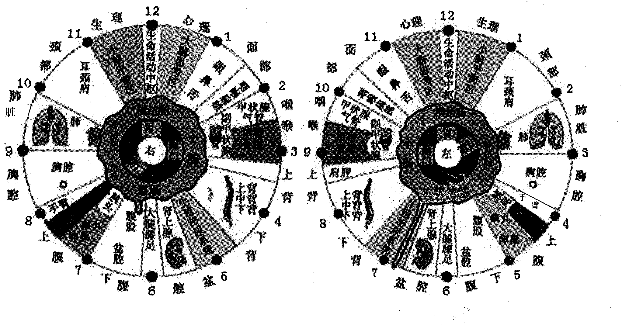 Iris partitioning and sunlight radiating canal extracting method based on basic-element structure definition and region growing technology