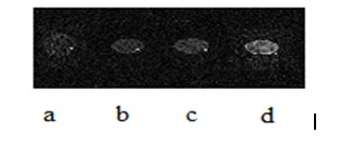 Multifunctional tumor imaging agent, preparation method and application